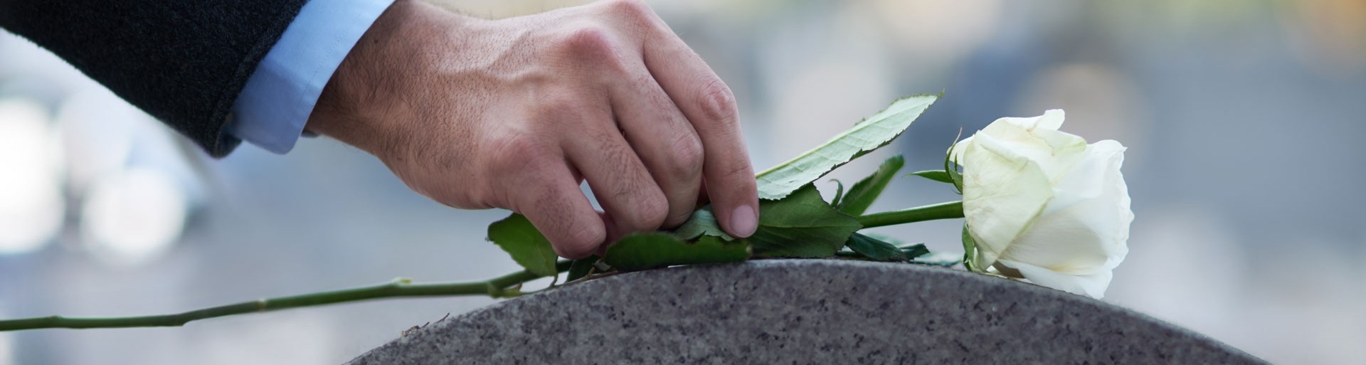 Een man legt een witte roos op een grafsteen